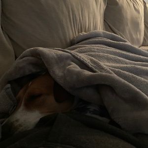 Meet your Posher, Rachel